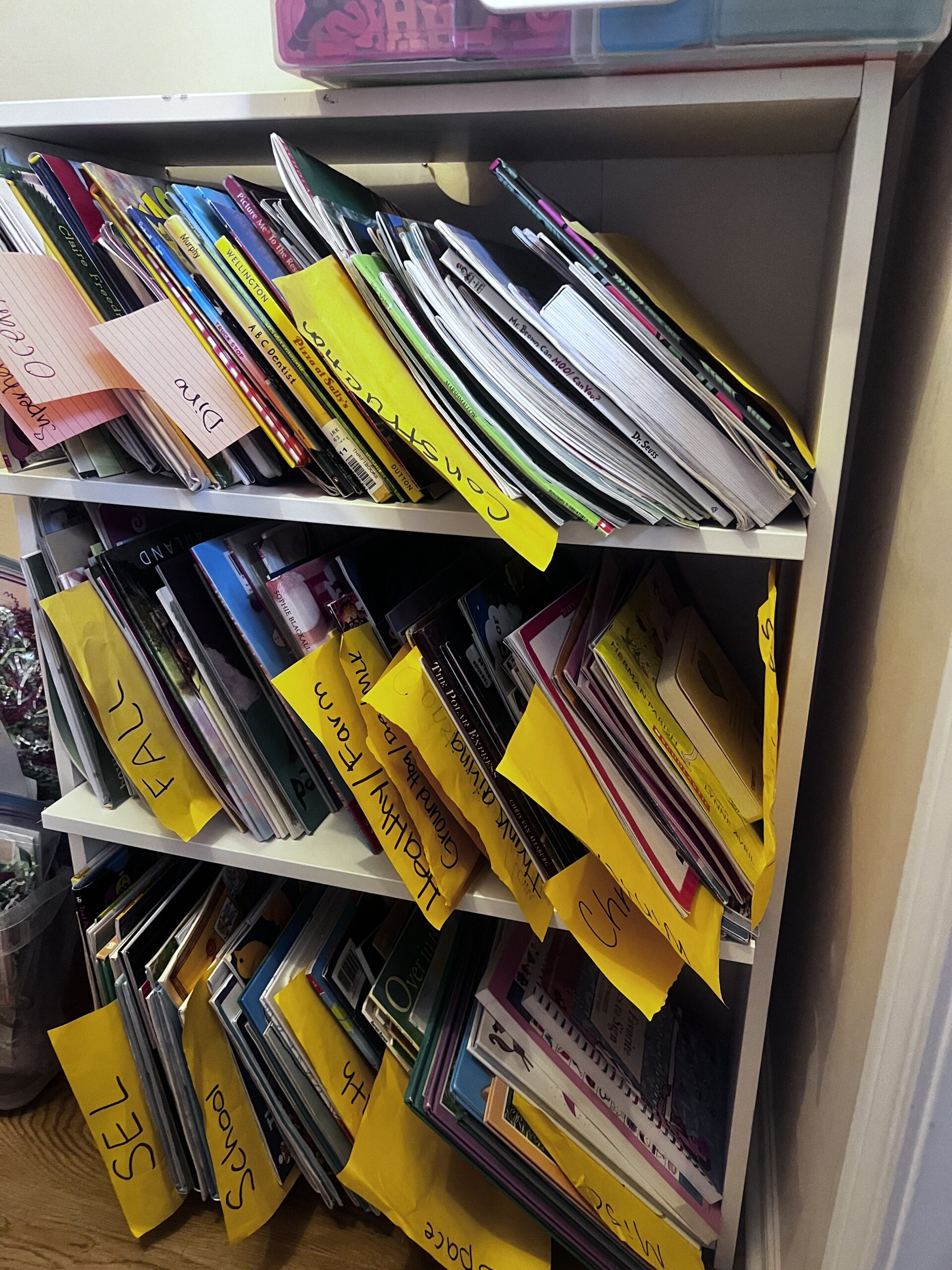 spring-cleaning-and-daycare-organization spring-cleaning-and-daycare-organization
